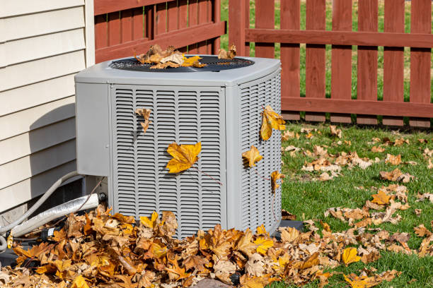 Best HVAC Tune-Up Services  in Chenoa, IL